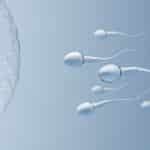 combien de temps le sperm se recharge 1