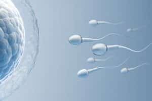 combien de temps le sperm se recharge 1