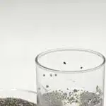 comment manger les graines de chia guide complet et astuces pratiques 1