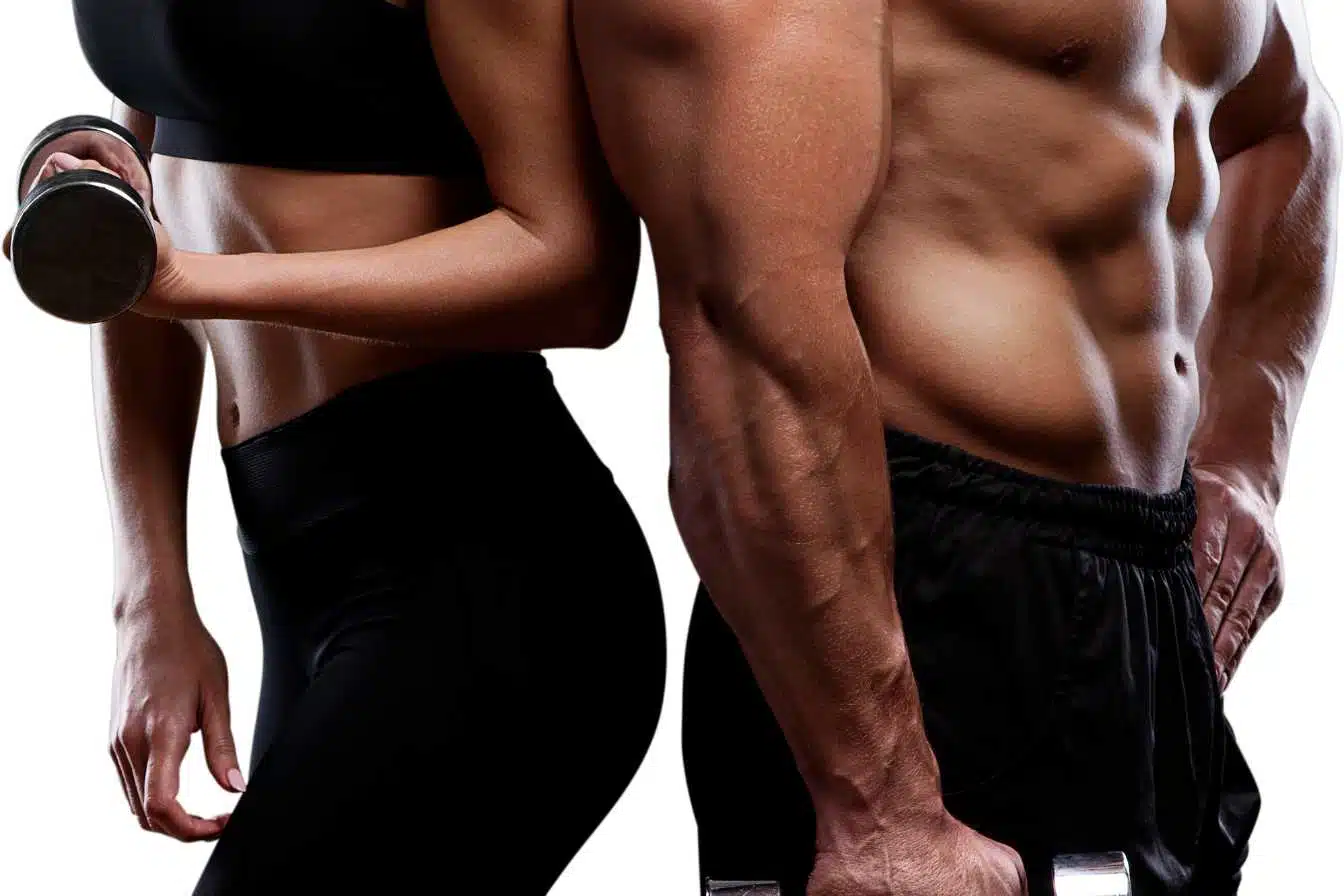 musculation 1