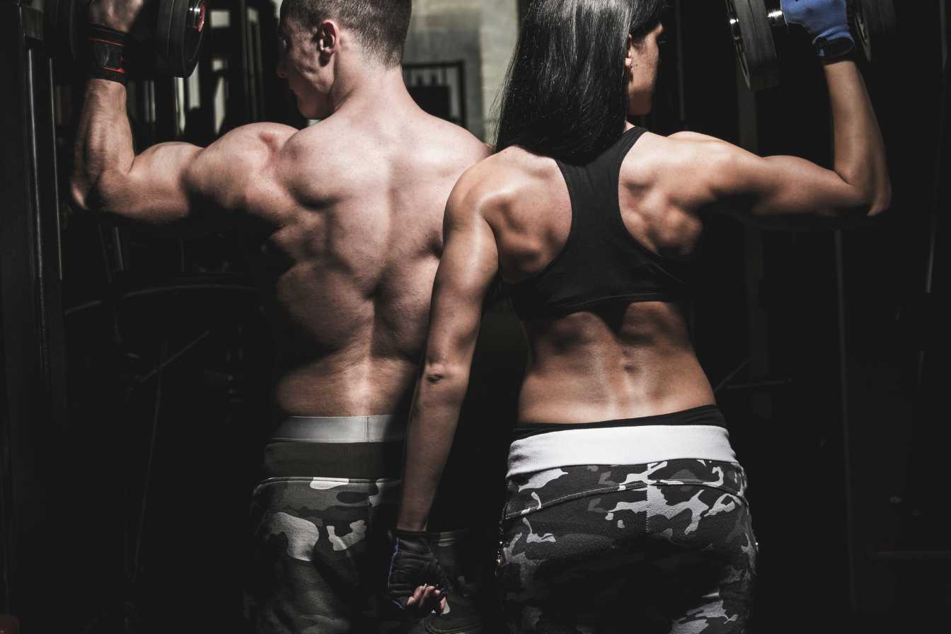 musculation des trapezes 1