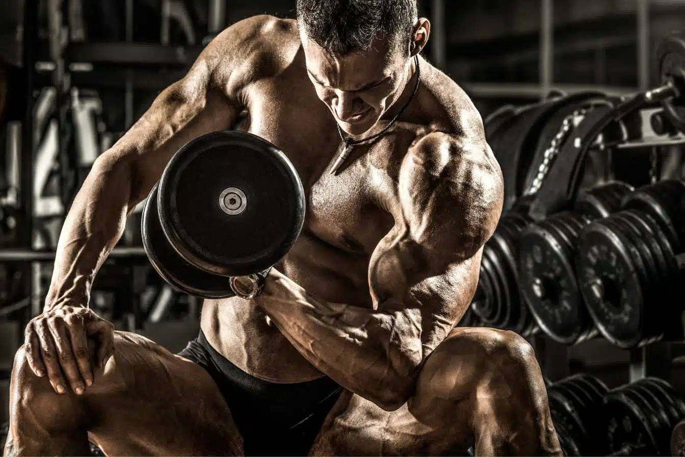 planete muscle 1